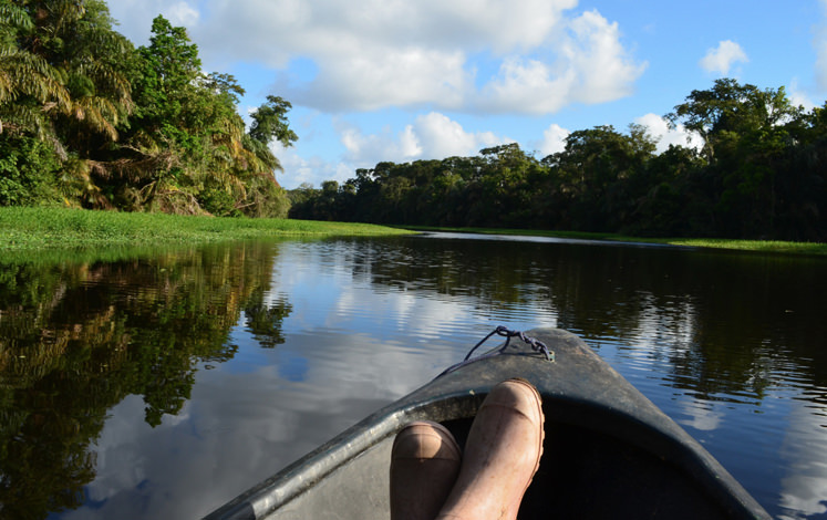 2-Day Bed and Breakfast Tortuguero